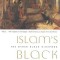 Islam&#039;s Black Slaves: The Other Black Diaspora