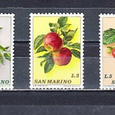 M2 TS1 5 - Timbre foarte veche - San Marino - fructe