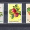 A12 S2 5 - Timbre foarte veche - San Marino - fructe