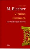 Cumpara ieftin Vizuina luminata. Jurnal de sanatoriu/Max Blecher, Cartex