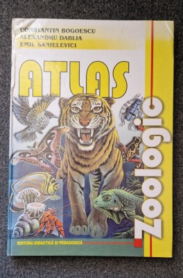 ATLAS ZOOLOGIC - Bogoescu, Dabija 2007 foto