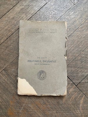 Plaut Militarul Ingamfat foto