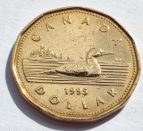 290. Moneda Canada 1 dollar 1995 (&quot;Loonie&quot;)
