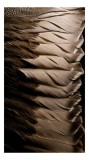 Tablou Canvas, "Armonia subtilă a penelor maro", Pene, Textura, Luminozitate, Natură, Moale, Detaliu, Umbre, Armonie, Contrast, Delicat., 26 x 39 cm,