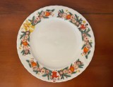 FARFURIE DIN PORTELAN SELTMANN WEIDEN BAVARIA- REGINA- W.GERMANY D25cm