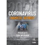 Coronavirus 2020 - Inamicul nevăzut, Corint