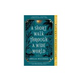 A Short Walk Through a Wide World