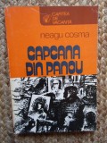 Neagu Cosma - Capcana din panou