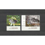 ARGENTINA 2022 FAUNA INSECTE