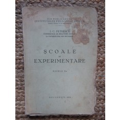SCOALE DE EXPERIMENTARE - I.C. PETRESCU