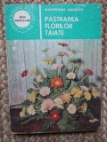 Alexandrina Amariutei - Pastrarea florilor taiate