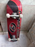Placa Skateboard