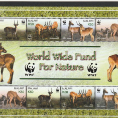 Fauna ,cervide ,WWF,KLBG ,Malawi.