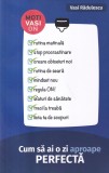 Vasi Radulescu - Cum sa ai o zi aproape perfecta