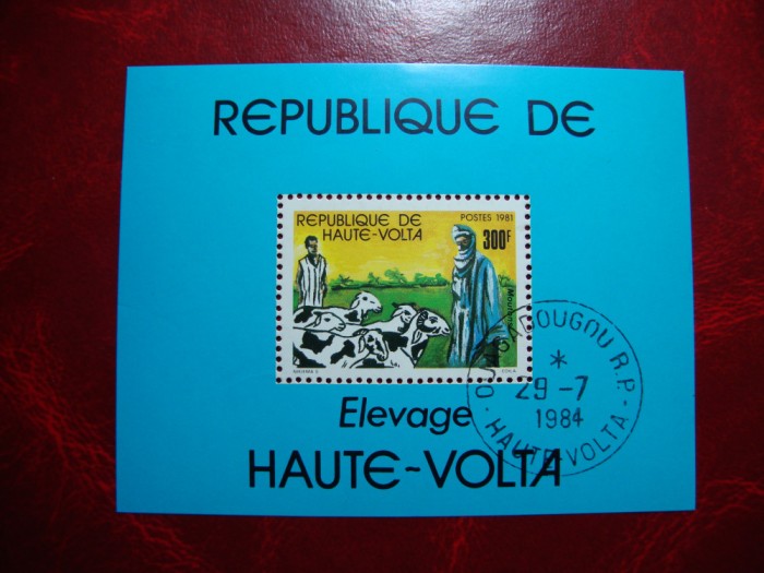 VOLTA SUPERIOARA BLOC