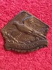 Insigna vanatoare-pescuit - AGVPS ROMANIA - Rata Salbatica