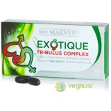 Exotique Tribulus Complex pentru Barbati cu Tribulus, Ginseng, Ginkgo Biloba, Vitamine si Minerale pentru Energie, Virilitate si Performante Fizice 30
