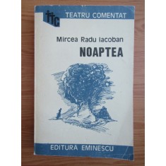 Mircea Radu Iacoban - Noaptea