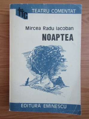 Mircea Radu Iacoban - Noaptea foto