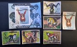 Ajman (1972) - Serie completă Timbre + Coliță "Primate și Maimuțe " (Obliterat / Ștampilat Ajman) VRT1