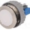 Intrerupator anti-vandalism, ON-(ON), &Oslash;22mm, SCHURTER, 3-102-776