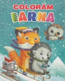 Coloram iarna - Autor Anonim - Editura Erc Press