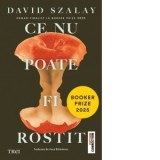 Ce nu poate fi rostit - Anca Barbulescu, David Szalay