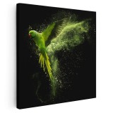 Tablou papagal verde pulbere 1708 Tablou canvas pe panza CU RAMA 100x100 cm