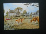 CN BLOC GUERNSEY