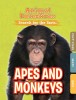 Apes &amp; Monkeys