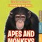 Apes &amp; Monkeys