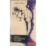 Adio, pantaloni scurti - Balint Tibor