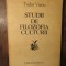 Studii de filozofia culturii - Tudor Vianu