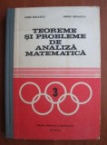 Sorin Radulescu, Marius Radulescu - Teoreme si probleme de analiza matematica