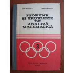 Sorin Radulescu, Marius Radulescu - Teoreme si probleme de analiza matematica