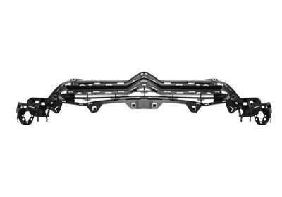Grila radiator Citroen C4 (B7), 09.2010-, exterior, 7422R3, 233805-J