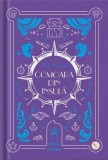 Comoara din insulă (Vol. 13) - Hardcover - Robert Louis Stevenson - Litera