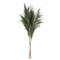 Set Pene Decorative Pampas, 85cm, Verde, 5 Buca?i