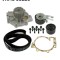 SKF VKMC 06220 Set pompa apa + curea dintata