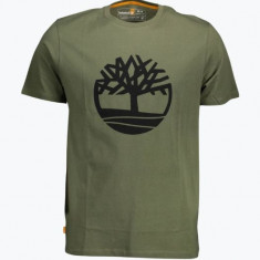 Tricou barbati din bumbac organic cu imprimeu cu logo si croiala Regular fit, Verde inchis M, Verde inchis, M INTL, M (Z200: SIZE (3XSL -->5XL))