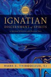 Ignatian Discernment of Spirits in Spiritual Direction and Pastoral Care: Going Deeper