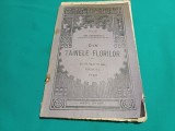 DIN TAINELE FLORILOR * CU 37 FIGURI &Icirc;N TEXT * ION SIMIONESCU * 1923 * 4 2 4
