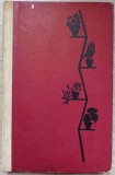 PLANTE DE APARTAMENT SI DECORATIUNI FLORALE-EUGEN SADOFSKY, AMELIA MILITIU-233756