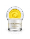 Acrigel Yellow Sorbe 30g