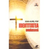 Ioan-Aurel Pop - Identitatea romaneasca. Felul de a fi roman de-a lungul timpului - 136881