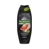 Gel de dus Men Energising, 500ml, Palmolive