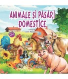 Animale si pasari domestice, Andreas