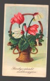 CPIB 20168 FELICITARE - COS CU FLORI