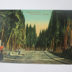 Carte postala Constantinopol-Cimitir turc in Scutari 1921 posta franceza