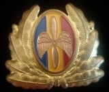QW14 - Emblema militara / cuc - aviatie - anii 1990 - piesa de colectie
